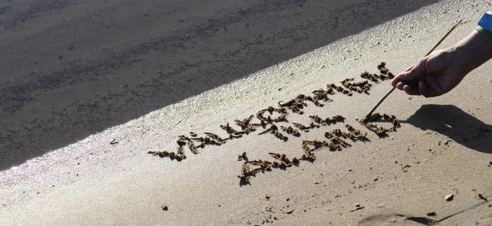 Någon skriver Välkommen till Åland i strandkanten
